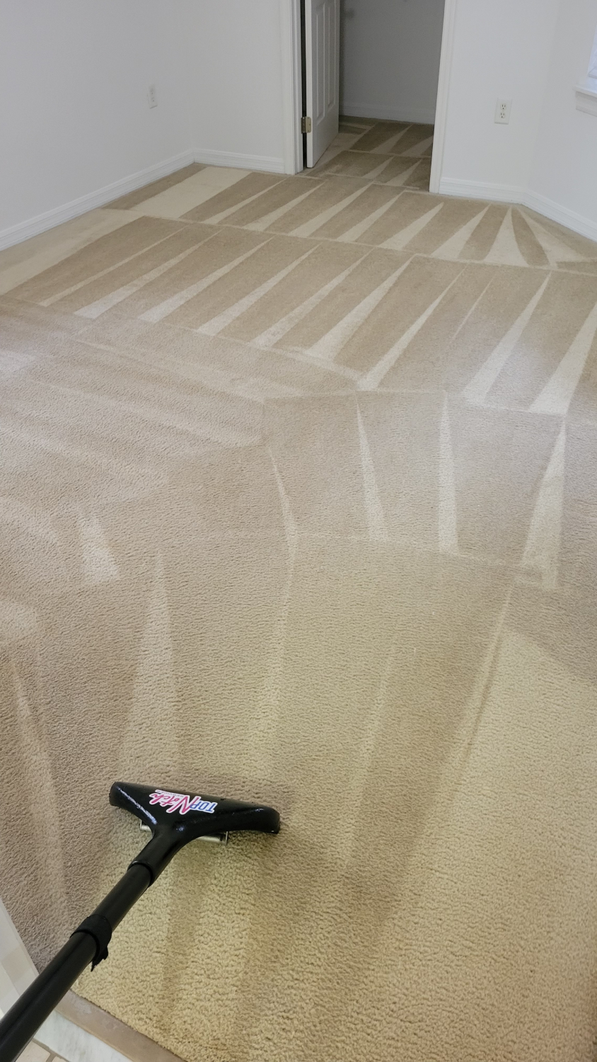 Carpet Cleaning Services in Gainesville, FL Florida Top Notch Services